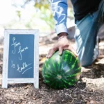 Farm-to-Table Best Practices