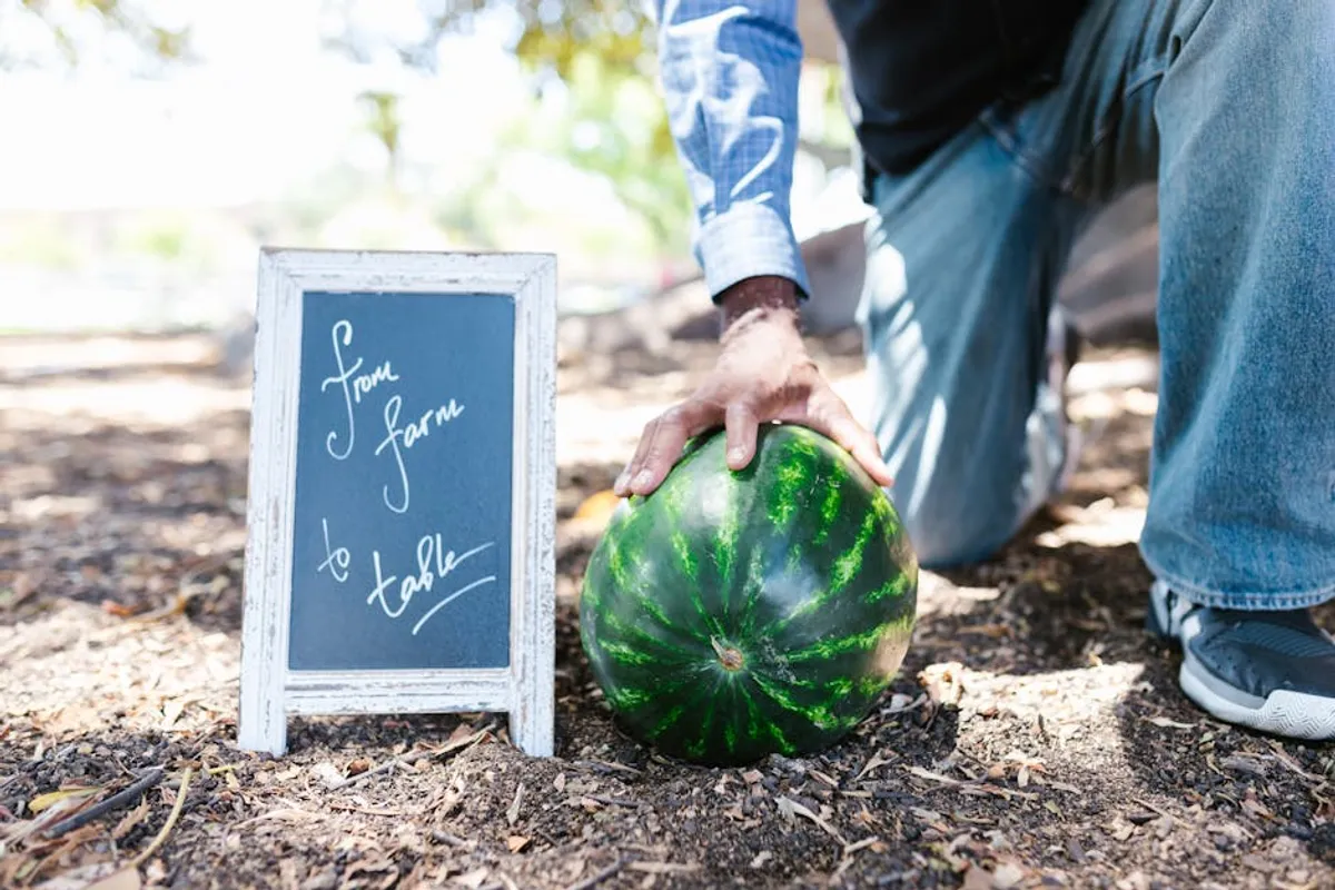 Farm-to-Table Best Practices