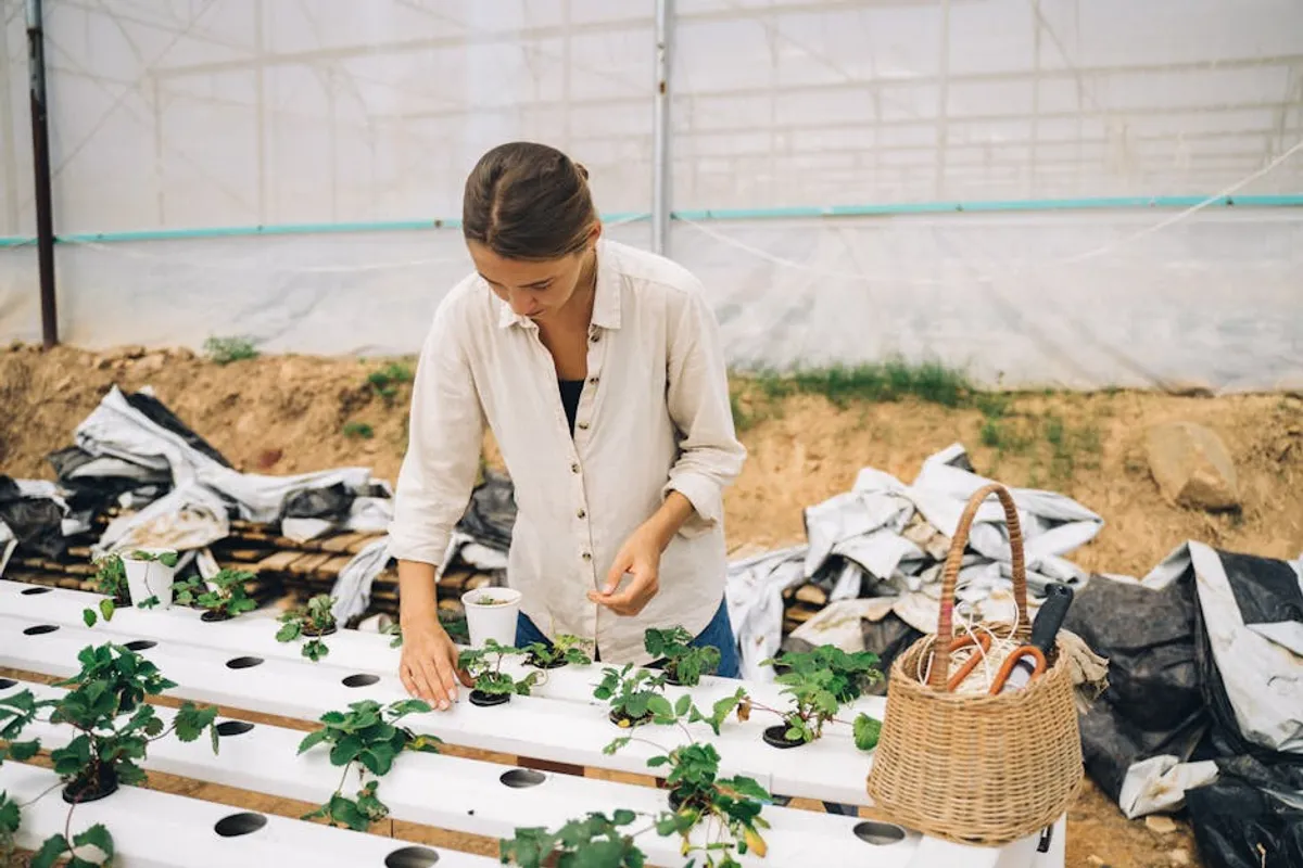 Sustainable Food Packaging Guide
